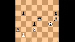 Savielly Tartakower vs Richard Reti || Vienna, 1928 #chess