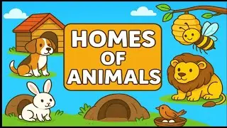 Names of Animals Homes - Den, Nest, Burrow, Hive, Kennel, Stable I Animals & their Homes I Kidsvideo