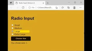 HTML CSS JavaScript Demo: Radio Buttons -- Version 2