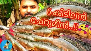 6 കിടിലൻ ചേറുമീൻ പിടുത്തം | Snakehead Fishing Videos Kerala Malayalam And Cooking