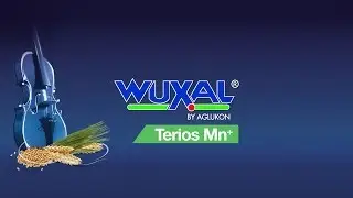 Terios Mn+ hivenpeittausaine &ndash; Tehokas startti viljoille