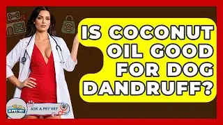 Is Coconut Oil Good For Dog Dandruff? - Ask A Pet Vet