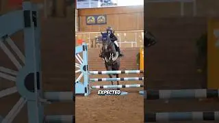 Nobody Expected What This Horse Did Next 😱