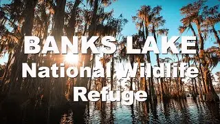 Banks Lake NWR in Lakeland, Georgia
