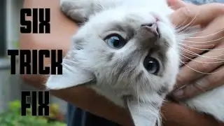 Six Trick Fix // KendamaOC