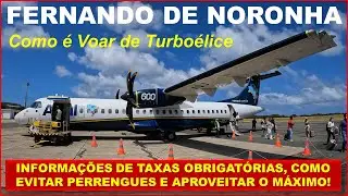 Fernando de Noronha - Como é voar de Turboélice - Evitar perrengues e aproveitar o máximo da Ilha!