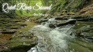 No Music, Quiet River Sounds for 1 hour &bull; Relaxing Stream Sounds use for Relaxation, Sleep, Insomnia