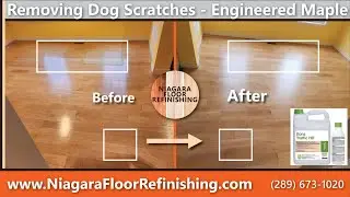 Removing Dog Scratches from an Engineered Hardwood Floor - Floor Sanding Maple