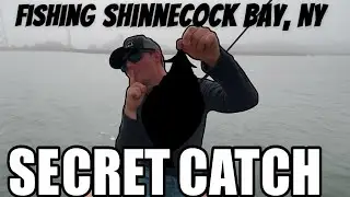 Unbelievable Day Of Fishing Shinnecock Bay, NY (New Boat Revealed)