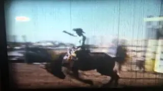 Tooke Bucking Horses - General Custer