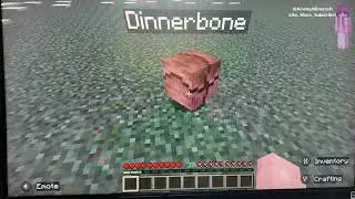 Ainsley Minecraft Short 4 - Nametag Easter Eggs