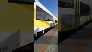 sa137-005 na stacji Żary muzyk&oacute;w