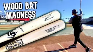 Louisville Slugger VG27 Birch (Vladimir Guerrero) vs. American Batsmith TS28 Birch (Taylor Snyder)