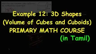 Example 12: Volume of Cubes and Cuboids | 3D Shapes | Primary Math course(in Tamil)