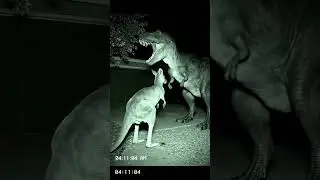 Night vision CCTV footage on a driveway at 4 11 AM  A dinosaur stomps into the frame  Out of nowher