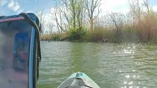 3 Mile Paddle at Lake St. Clair Metropark