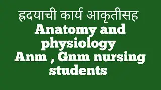 Heart function & structure | Anatomy and physiology @नर्सिग एक ईश्वर सेवा मी आरोग्यदूत