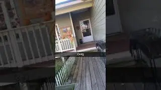 My cousin is going through the dog door