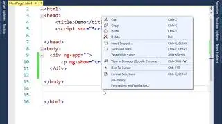 Angular JS The ng show  and ng hide Directives