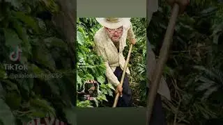 faccio pratica x che fra un po mi manderanno a lavorare👍🥸🤣🤣🤣🤣🤣🤣🤣🤣🤣🤣🤣🤣🤣🤣🤣🤣🤣
