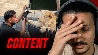They Use Animals As Content