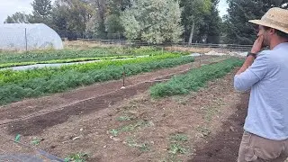 Fall Garden Reflection Webinar!