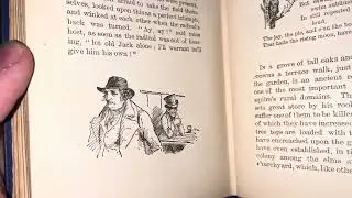 This Victorian book has stunning illustrations 