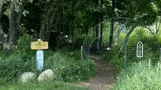 Hippie Tree and Fairy Trails Traverse City