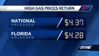 Florida gas prices rise as diesel hits record high for second day in a row