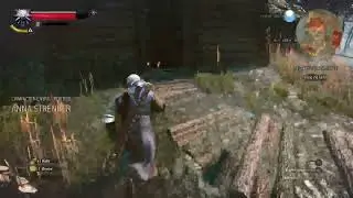 Meet the baron at Crookback Bog - Witcher 3