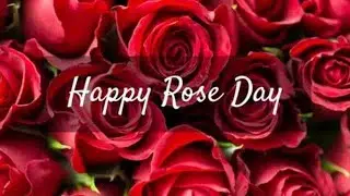 Happy Rose Day | Rose Day Status 2021 | Rose Day Shayari | Romantic Status |Rose Day Whatsapp Status