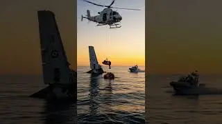 rescue efforts #finwhale #whale #dolphin #fish #rescue #northsea
