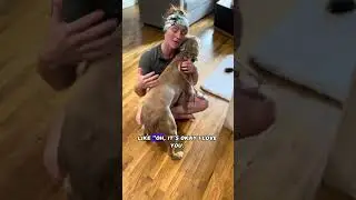 Dog Training: Scared Dog