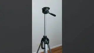 Amazon Basics 50 Inch Tripod Stand vs B005KP473Q Amazon Basics 60 Inch Tripod Stand Review #shorts