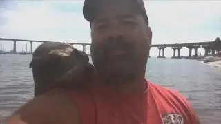 Friendly Seal Jumps on Fisherman's Back, Cuddles Up To Him and Won't Leave