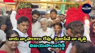 I don't have any business. Public service is my profession - Vijayasai Reddy