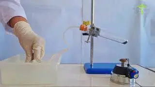 Оттекті алу