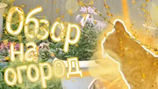 ОБЗОР НА МОЙ ОГОРОД🏡