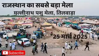 राजस्थान का सबसे बड़ा मेला मल्लिनाथ जी पशु मेला तिलवाड़ा 25मार्च 2025 राजस्थान का कुंभ