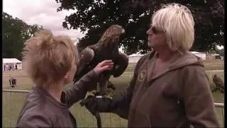 LGH Falcons