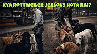 Kya Rottweiler Street Dogs Ko Pyaar Karte Time Pe Gussa Hota Hai ? | Day-596