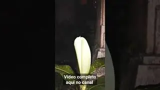 A ALEXA VIU UM FANTASMA assustador na escola Assombrada real.