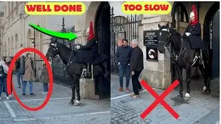 DISASTER! Tourists Break Protocol While King Watches 😱🤣