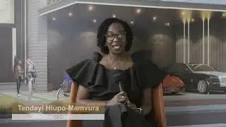 ZIM CYBER CITY vision interview teaser