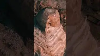 Great arial view of the Great Sphinx of Giza&rsquo;s head @megalithicmarvels