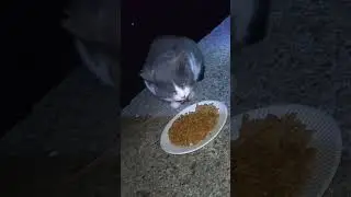 2026年1月20日朝　テトラ