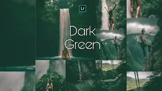 Dark Green Presets - Lightroom Mobile Presets DNG | Free Preset | Free Download | Lightroom Preset
