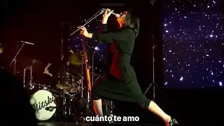 Mitski - I Want You (Live at Brooklyn Steel)