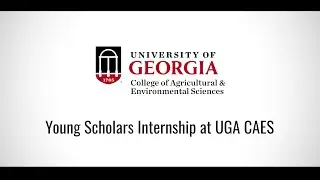 All about the Young Scholars Program
