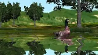 fully animated 3D natural scene - first test - free green screen effects - free use